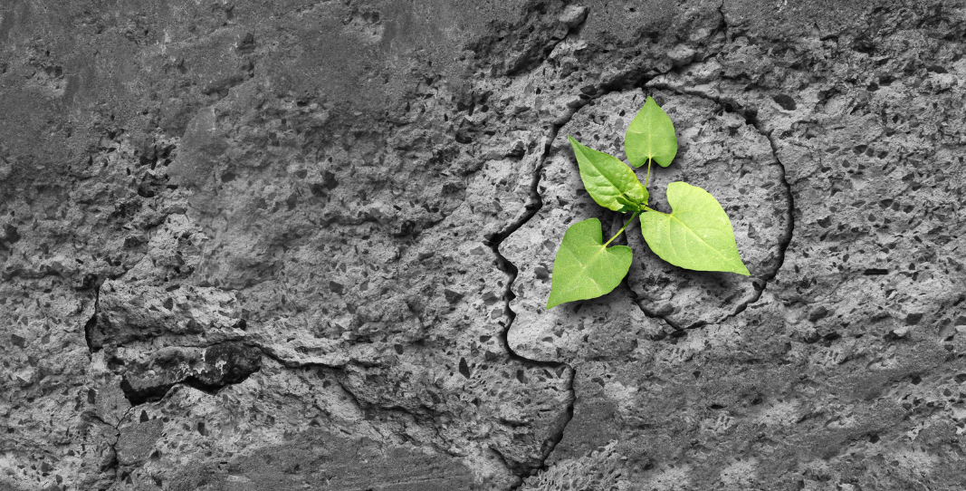 востребованы ли психологи востребованы ли психологи